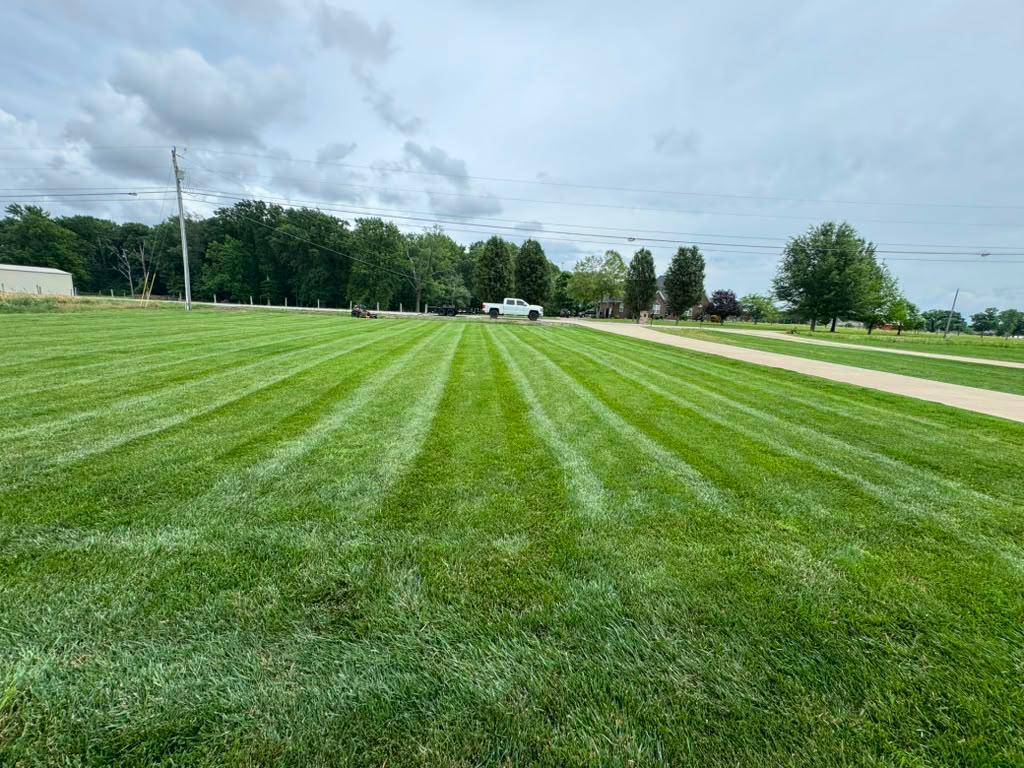 Residential yard maintenance